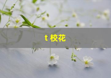 t 校花